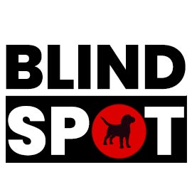 BlindSpot 