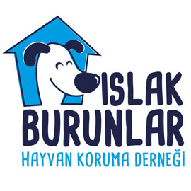 Tierheimhilfe Türkei