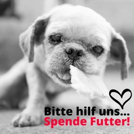 Spende Futter!